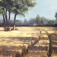 Late Summer walk