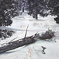 Matte Painting, forest avalanche